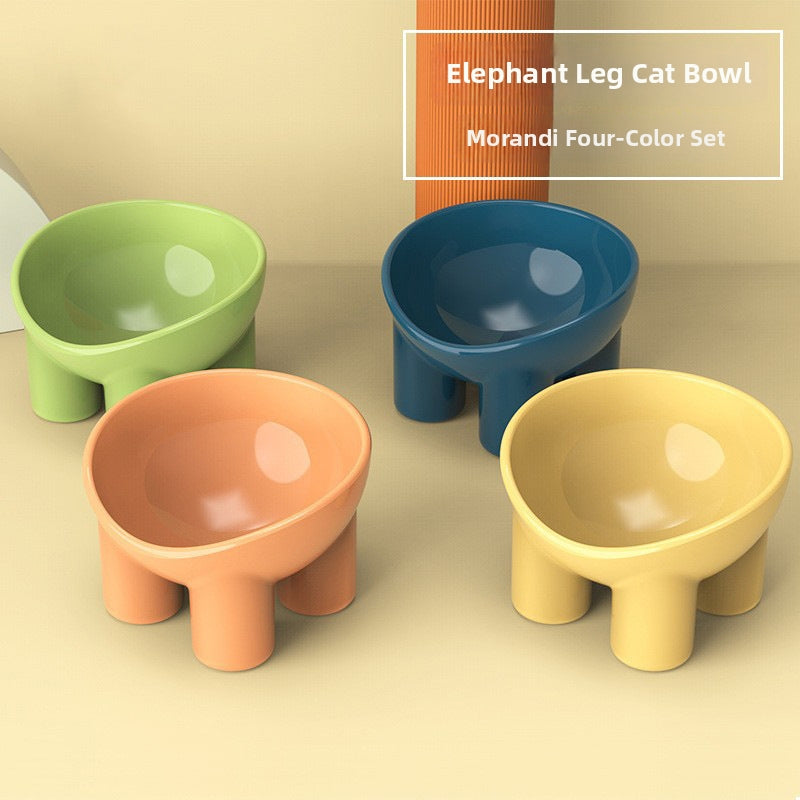 Ergonomic Tilted Cat Bowl